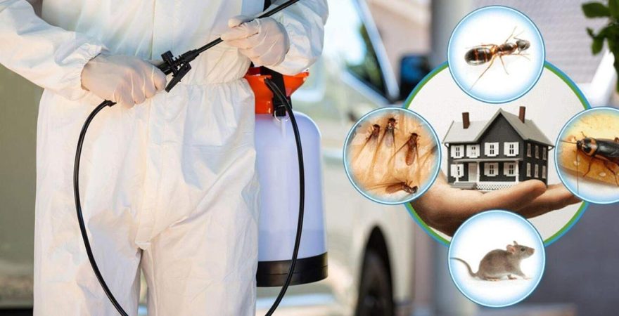 Seydişehir Böcek İlaçlama