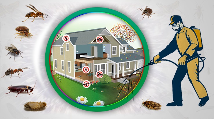 Seydişehir Böcek İlaçlama