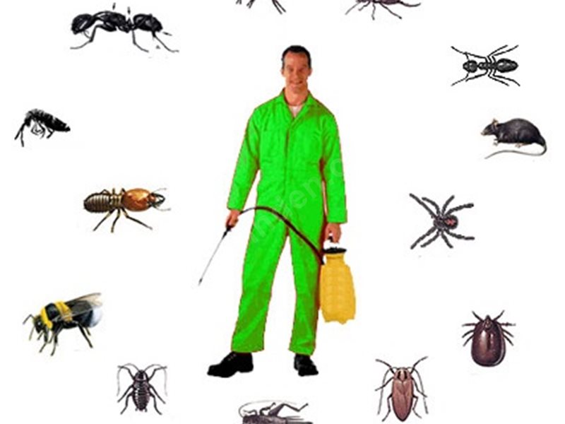 Seydişehir Böcek İlaçlama